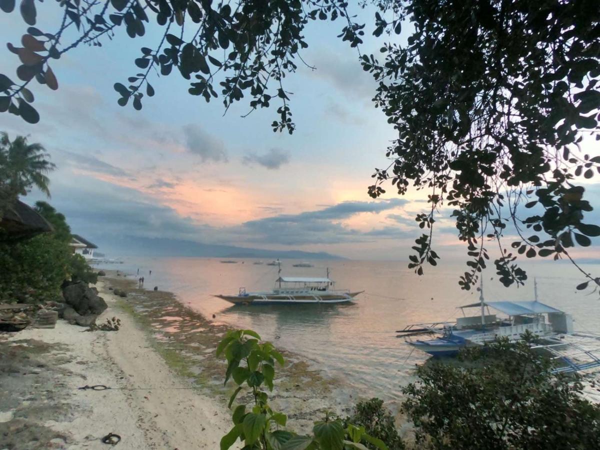 Pescador View - Beach Resort & Restaurant Moalboal Buitenkant foto